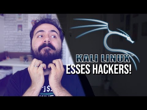 Leia mais sobre o artigo Kali Linux – Conheça o sistema dos Hackers