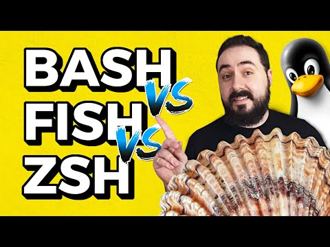 Leia mais sobre o artigo Qual o melhor SHELL? Diferenças entre BASH, ZSH e FISH